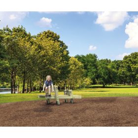 Trasura din lemn Buggy