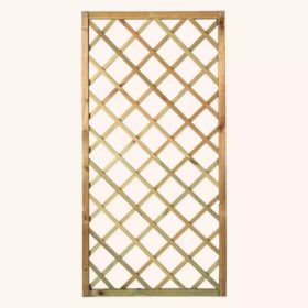 Spalier Soprano drept 90x180 cm