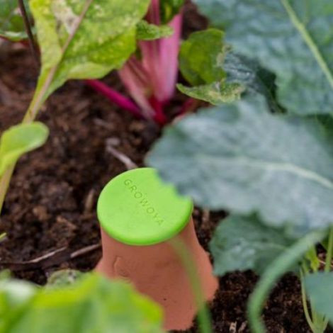 Olla vas de irigat îngropabil din ceramică pentru irigarea rădăcinilor plantelor