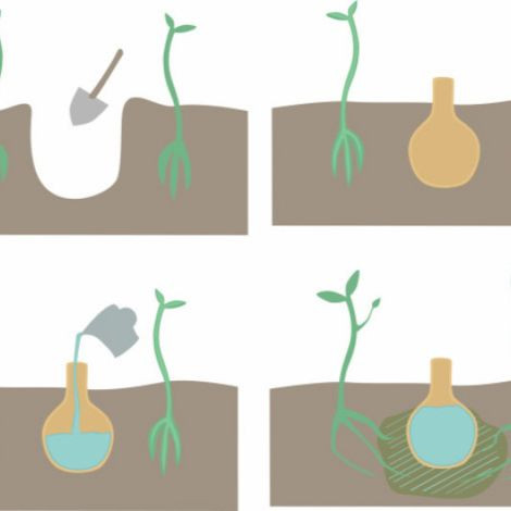 Olla vas de irigat îngropabil din ceramică pentru irigarea rădăcinilor plantelor