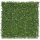 Perete verde Nortene VERTICAL JASMIN - cu iasomie