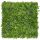 Perete verde Nortene VERTICAL TROPIC - cu plante tropicale.