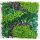 Perete verde Nortene VERTICAL COSTA - cu frunze mixte