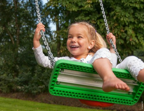 Hy-Land complex de joaca cu 2 turnuri si modul de leagan Proiect P6 