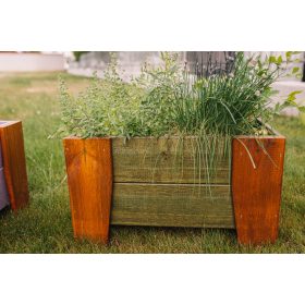 Ladita pentru plante