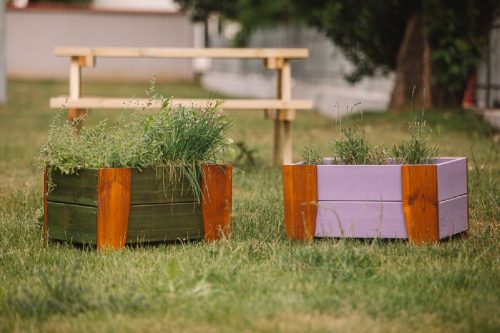 Ladita pentru plante