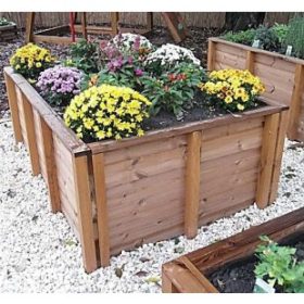 Ladita plante pentru gradina scolii