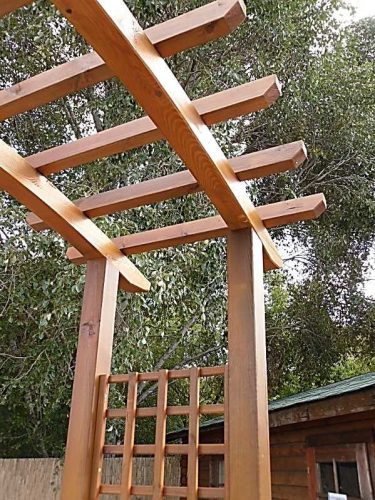 Pergola pentru gradina scolii
