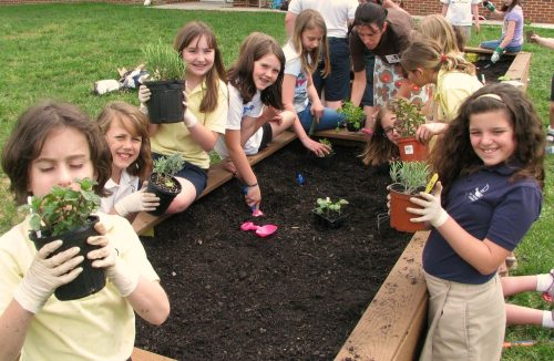 Ladita cu folie pentru plante in gradina scolii