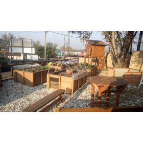 Ansamblu gradina scolii 