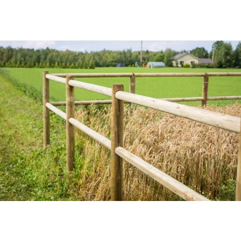 Tarus/Stalp lemn - 10x400 cm 