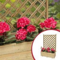 Jardiniere cu spalier
