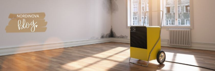 Soluție fără umiditate pentru locuințe vechi și noi: Avantajele aparatelor de dezumidificare