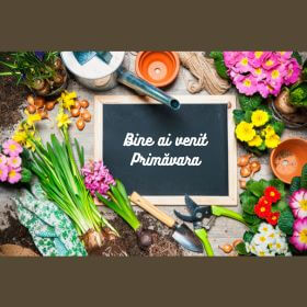 Grădină verde, început proaspăt: Sfaturi de reînnoire a grădinii de la Nordinova